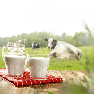 cow摄影照片_Morning time with rural landscape of cow and milk on table place. 