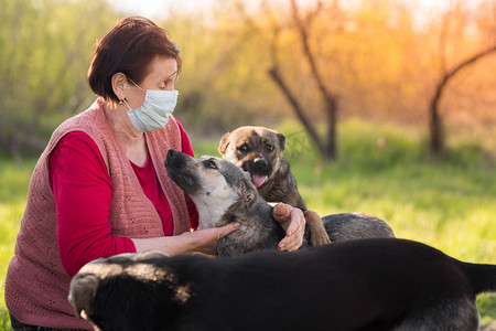 老年狗摄影照片_戴着医疗面具的老年快乐女人和狗玩耍。爱护动物，狗训练的概念