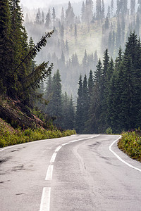  走进大山的路 森林