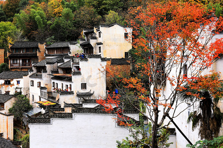 Hot peppers, corns, chrysanthemum flowers, and other crops and harvests are dried on roofs and racks under the sun in Huangling village, Wuyuan county, Shangrao city, east China's Jiangxi province, 19 November 2018. 