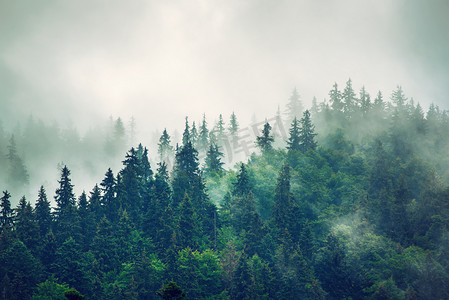 停车摄影照片_多雾的山景