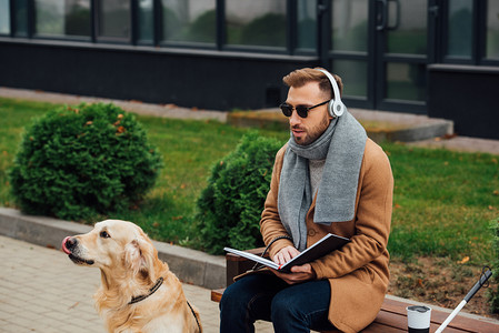戴耳机的盲人在导盲犬旁边的长椅上看书 
