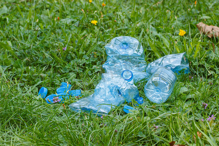 塑料瓶和瓶盖在公园，草地上的乱扔垃圾的环境