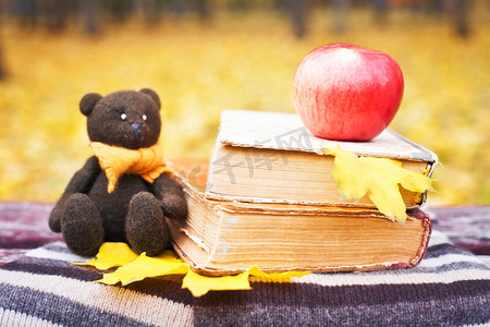 学前教育摄影照片_熊，苹果和一条长凳上的书