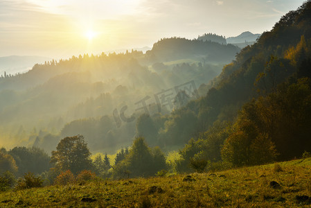 雾光摄影照片_在 Pieniny 山林的日出景观
