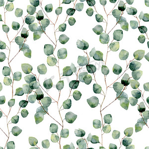水彩绿色无缝花纹与圆的桉树叶。手绘用树枝和树叶的银元桉树孤立在白色背景上的模式。设计或背景