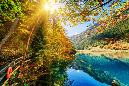 山谷摄影照片_在五颜六色的秋天树林中欣赏到令人惊叹的蔚蓝湖的迷人景色
