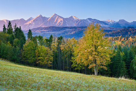 蓝色山脉摄影照片_美丽的清晨，在高塔特拉山、 喀尔巴阡.