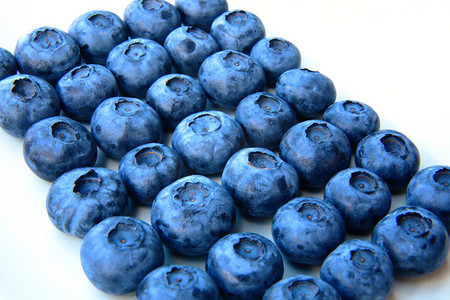 一束新鲜、 精致的蓝莓的特写 