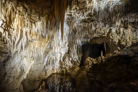 萤火虫光摄影照片_新西兰萤火虫洞穴魔岩层