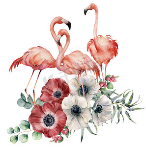 水彩火烈鸟与海葵花束。手绘异国情调的鸟, 有花, 桉树叶和树枝在白色背景下分离。设计、印刷或背景野生动物插图.
