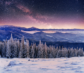 在冬季森林里的乳品之星迷航。戏剧性和风景如画的场面。欧盟, 乌克兰, 欧洲.