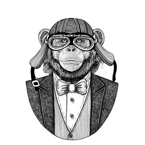 黑猩猩猴动物穿夹克与弓领带和车手头盔或 aviatior 头盔。优雅的摩托车手, 摩托骑手, 飞行员。图像为纹身, t-shirt, 徽章, 徽章, 标志, 补丁