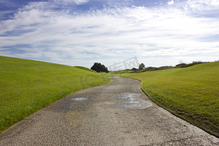 贝莱克球场田野上的青草。长路