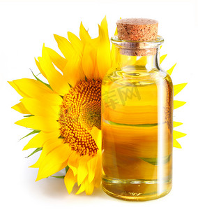 瓶花在白色背景上的向日葵油.