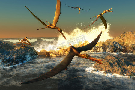翅膀大翅膀摄影照片_客恐龙爬行动物捕鱼