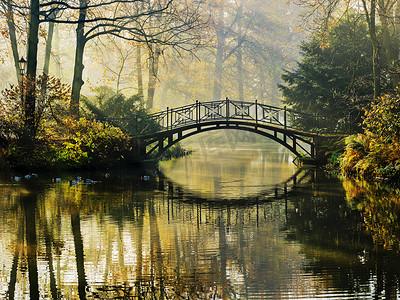 秋天-秋天的薄雾公园老桥
