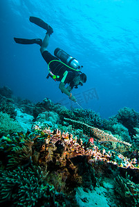 晒水摄影照片_水肺潜水的潜水员 kapoposang 苏拉威西印度尼西亚水下