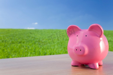 绿色投资概念镜头--一片碧绿的田野上，一只粉色的大存钱罐，天空一片明亮
