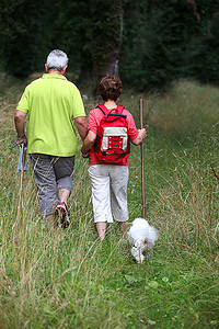 一对老年夫妇带着狗在乡间小路上漫步