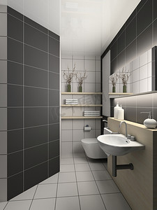 卫生间指示牌摄影照片_现代设计的卫生间内饰。3D渲染