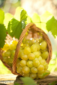 在阳光明媚的春天的背景下，木桌上的篮子里放着一串葡萄叶的葡萄