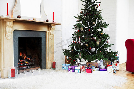 圣诞树摄影照片_壁炉和圣诞树
