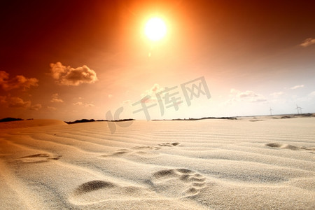 沙漠沙上的足迹