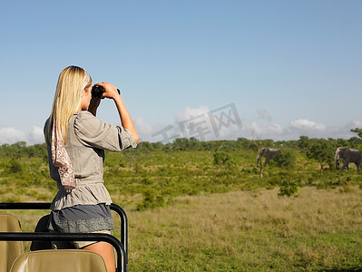 在狩猎旅行中的年轻女子站在吉普车里，用双筒望远镜观察大象的背影