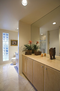 棕榈泉浴室有橱柜储物柜和玻璃砖大镜子
