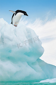 夹角摄影照片_冰山上的企鹅