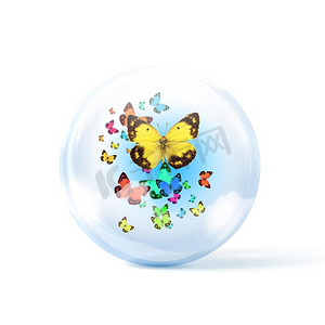 五颜六色的蝴蝶在玻璃球体内飞舞