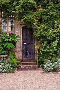 入口处有常春藤和植物的旧木门或石砖房子