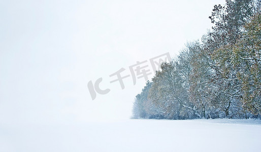 美丽的冬季森林雪景，深深的处女雪和树木渐渐消失在远处，有足够的文字空间供你阅读