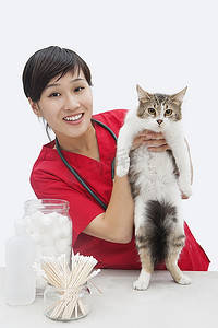 一位亚洲女兽医在灰色背景下抱着猫的肖像