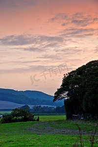 可爱的形象穿过牛场进入朝气蓬勃的夕阳英国乡村风景