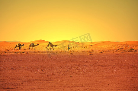 撒哈拉沙漠中的大篷车