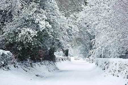 雪冬季景观农村场景与英国农村