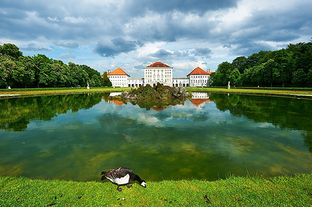 公园鸭子摄影照片_德国慕尼黑宁芬堡城堡公园