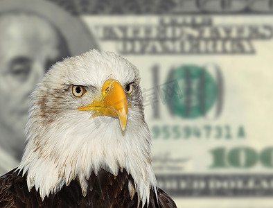 美国秃鹰符号与美元货币背景