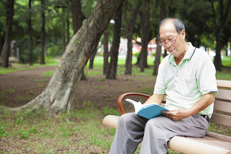 快乐的高级人坐在长凳上，读的书
