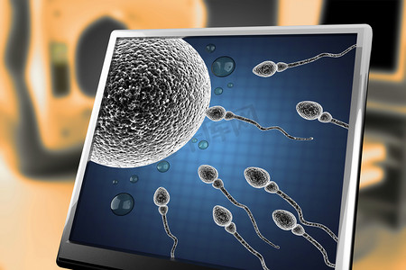 显微摄影照片_精子和卵子细胞。显微图像在显示器