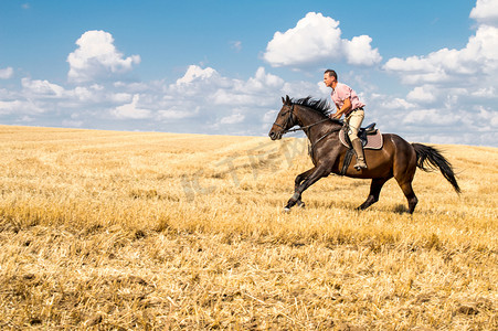 člověk jezdit koně na poli - svoboda a štěstí