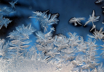 蓝色雪花摄影照片_霜冻图案