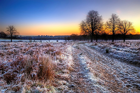 美丽的冬季风景穿过霜冻的田野，映入地平线上的树木剪影，进入令人惊叹的五颜六色的日出