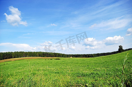 天空、云朵和树木。夏季景观