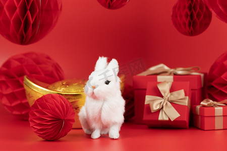 兔年摄影照片_兔年兔子2023新年礼盒摄影图配图