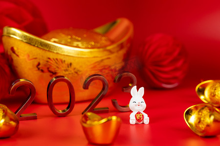 2023兔年新年春节实拍摄影图配图