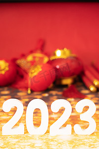 2023喜庆摄影照片_新年白天红灯笼室内兔年摄影图配图