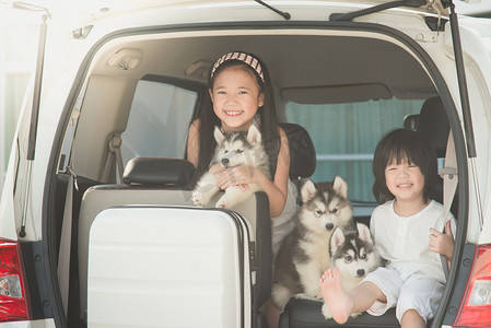 宠物学校学校摄影照片_快乐的亚洲儿童和西伯利亚哈士奇犬小狗坐在车里
